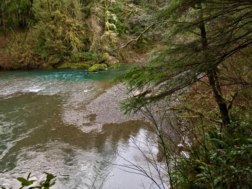 Kilchis River County Campground Tillamook County OR