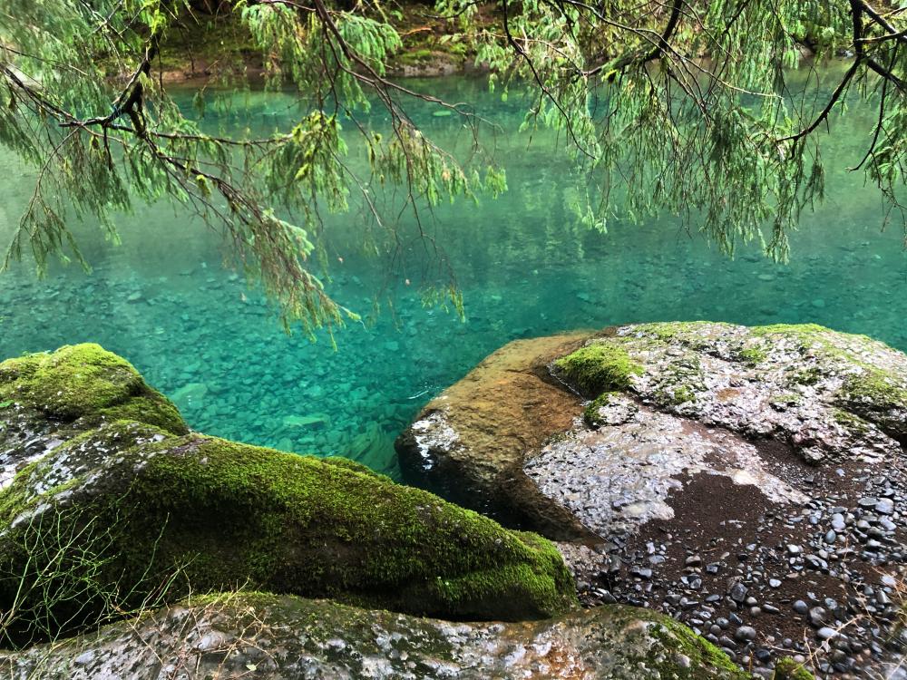 Kilchis River County Campground Tillamook County OR