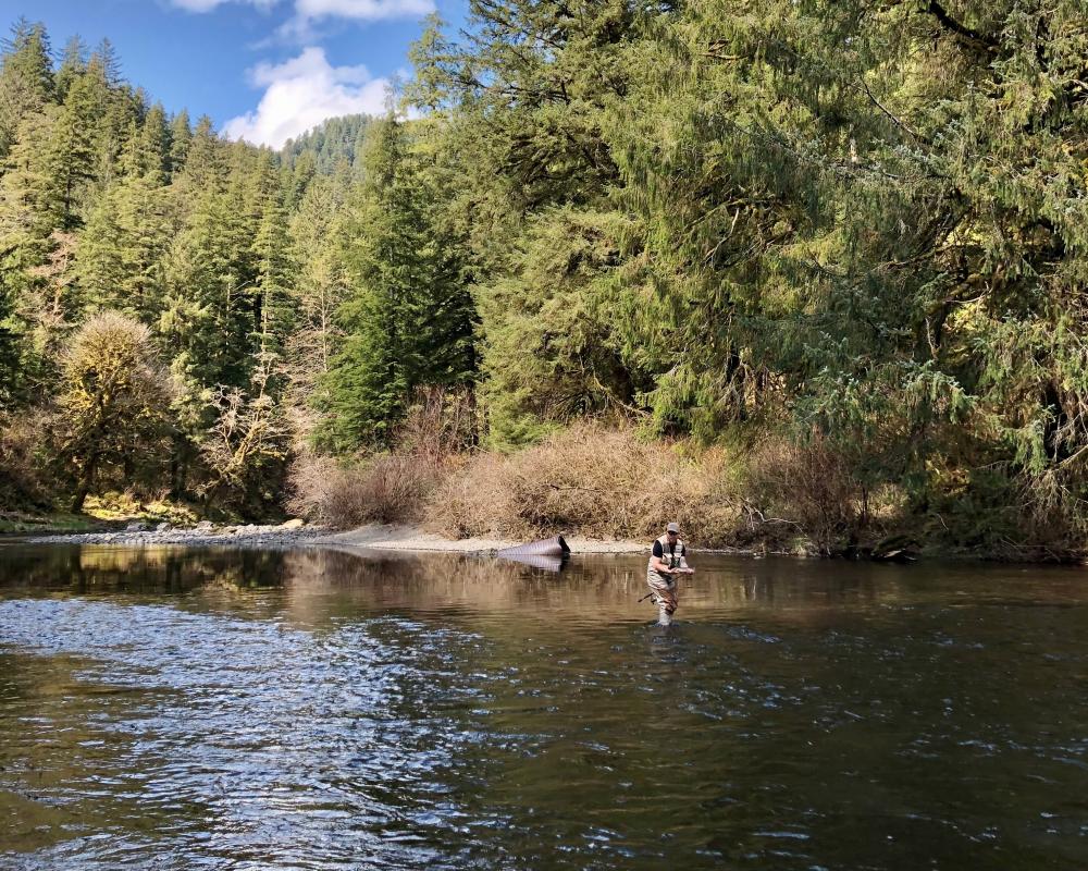 Kilchis River County Campground Tillamook County OR