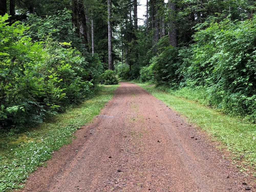 Trask River County Campground Tillamook County OR